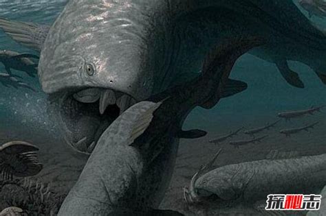 史前海洋巨兽沧龙是怎样的生物？它们的体型有多大？|霸王龙|龙|海洋_新浪新闻