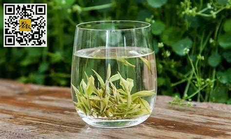 绿茶和乌龙茶的冲泡流程 - 泡茶方法 - 聚艺轩