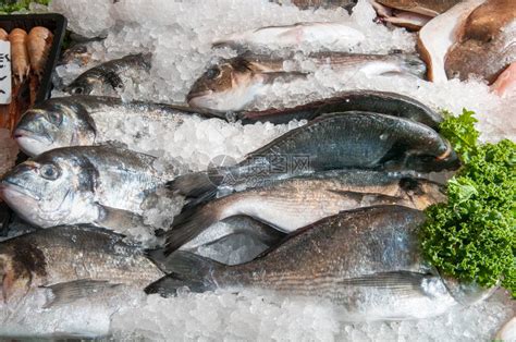 在当地市集摊卖新鲜鱼供高清图片下载-正版图片504999988-摄图网