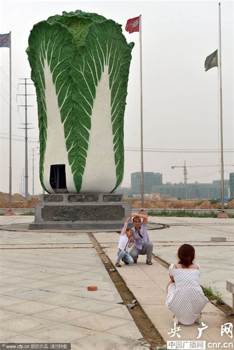 巨型“白菜”雕塑亮相山东聊城——人民政协网