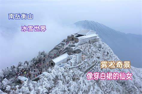 湖南南岳衡山现奇景，满山都是雾凇，像进入了白色的童话世界_凤凰网视频_凤凰网