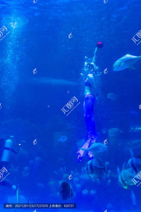 五彩小丑的逗趣搞笑 美人鱼海豚表演 曲江海洋极地公园春节欢乐多__凤凰网