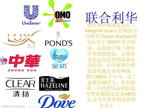 华润旗下品牌logo展示设计图__企业LOGO标志_标志图标_设计图库_昵图网nipic.com
