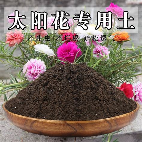 优质鱼塘泥 粗细混合装塘泥土（栽培介质）花泥-约10公斤-阿里巴巴