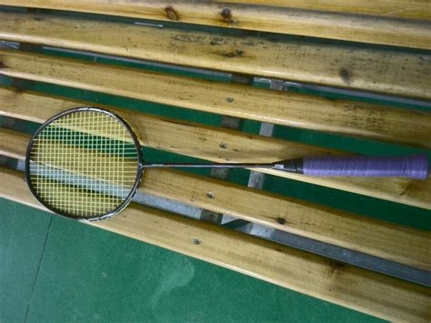 大一牌 比赛级 羽毛球 适用于 室内训练 高级全圆 鸭毛羽毛球-阿里巴巴