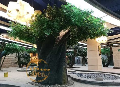 安徽黄山仿真榕树－北京淡水河谷只做更好的-新闻资讯