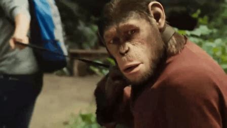 《猩球崛起1》-高清电影-完整版在线观看