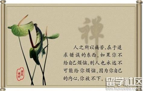 中国佛学66句震撼世界的禅语