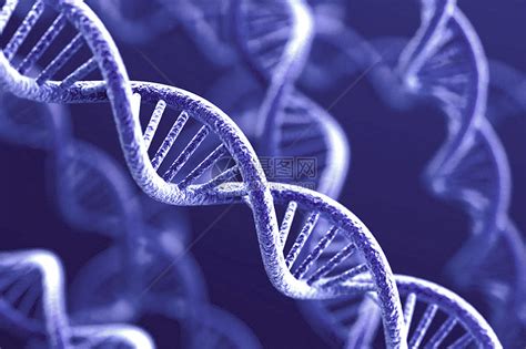 基因链DNA_1920X1080_高清视频素材下载(编号:2924384)_实拍视频_光厂(VJ师网) www.vjshi.com