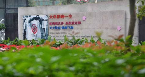重庆谢家湾街道劳动三村社区开展《保障农民工工资支付条例》宣传活动-上游新闻 汇聚向上的力量