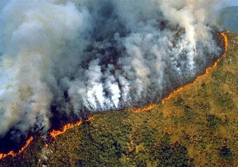 实拍巴西亚马孙雨林大火 浓烟滚滚满目苍夷