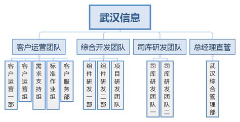 武汉信息组织架构-北京九恒星科技股份有限公司