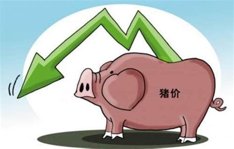 猪肉价格下跌34%背后：市场目前仍处于恐慌阶段 - 猪好多网