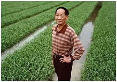 88岁袁隆平获奖感言：我还有两个梦_腾讯视频