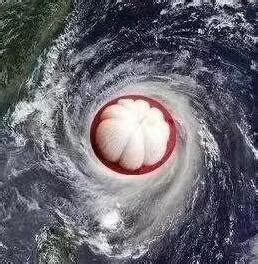 台风的名字是根据什么来命名的-百度经验