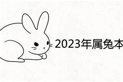 1975年生肖兔2023年运势大全（今天属兔运气怎么样）_生肖_若朴堂文化