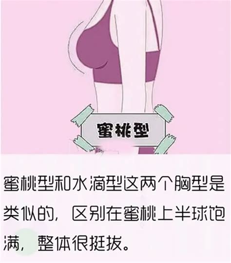 中国美胸排行榜：胸部最美的十大女明星_知秀网