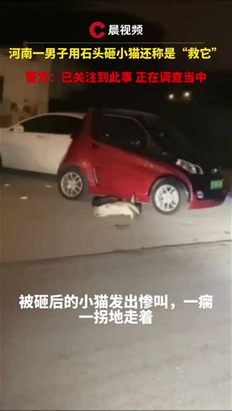 男子用石头砸死小猫还称救它，拍摄者一旁大笑，警方：介入调查_凤凰网视频_凤凰网