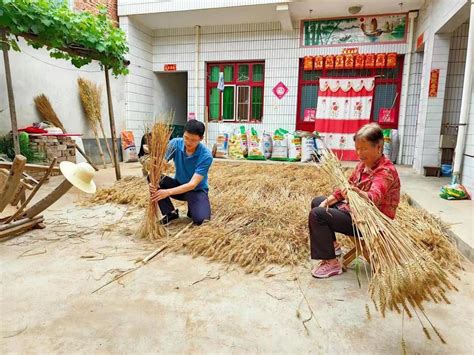 记者走“三夏”：凤翔缺劳户家里来了助农服务队-西部之声