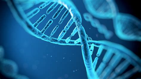 La struttura del DNA | Scienza Facile