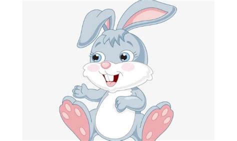小白兔的特征外貌描写是什么-百度经验