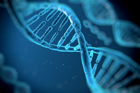 8.2% of our DNA is ‘functional’ | University of Oxford