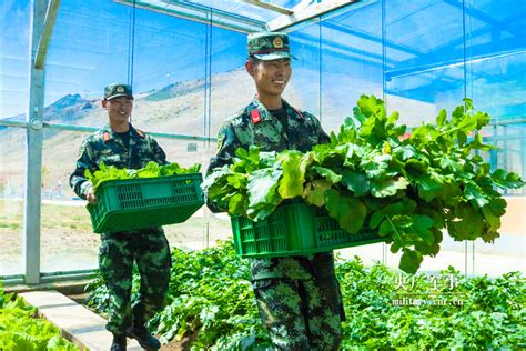 海拔4300米！武警官兵在“生命禁区”种出绿色蔬菜_央广网