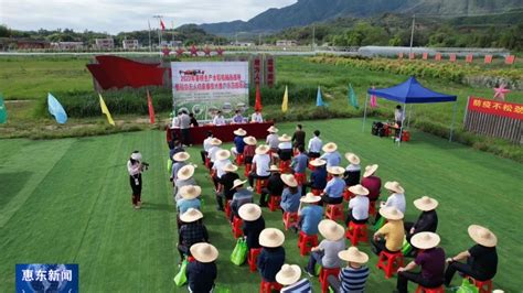 惠东举办2022年春耕生产水稻机械化插秧暨无人机直播技术推广示范现场会--农机化质量专栏