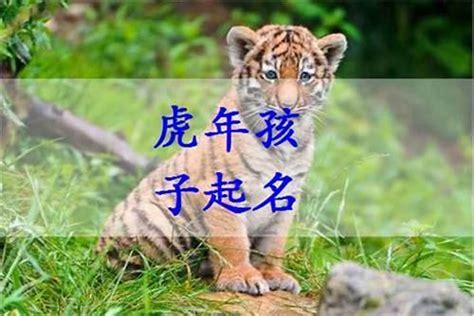 2023年的虎宝宝取名（2022虎年取名）_起名_若朴堂文化