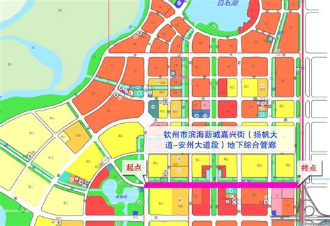 钦州滨海新城规划汇报(概念性阶段)-规划设计资料