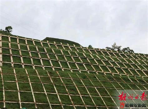 高边坡防护完成喷播植草 - 梧州零距离网
