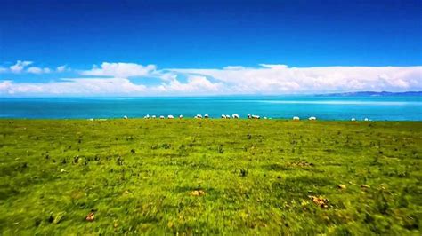 天苍苍，野茫茫，风吹草低见牛羊，美丽的草原风光|草原|天空|草地_新浪新闻