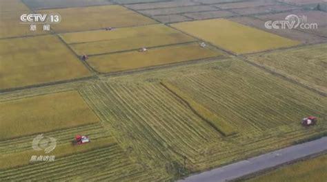 做个“好帮手” 助农迎丰收——河北省梨气象中心为农服务侧记_手机新浪网