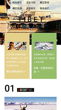 闵行网站建设 闵行网站优化 上海网站优化 上海网站营销-上海力马文化传播有限公司