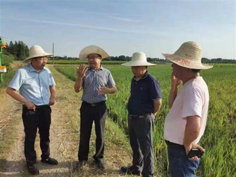 肖长惜赴仙桃市调研抗旱生产和种业创新工作--湖北省农业农村厅