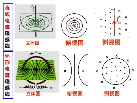 条形磁铁磁场和小磁针的N极所指的方向