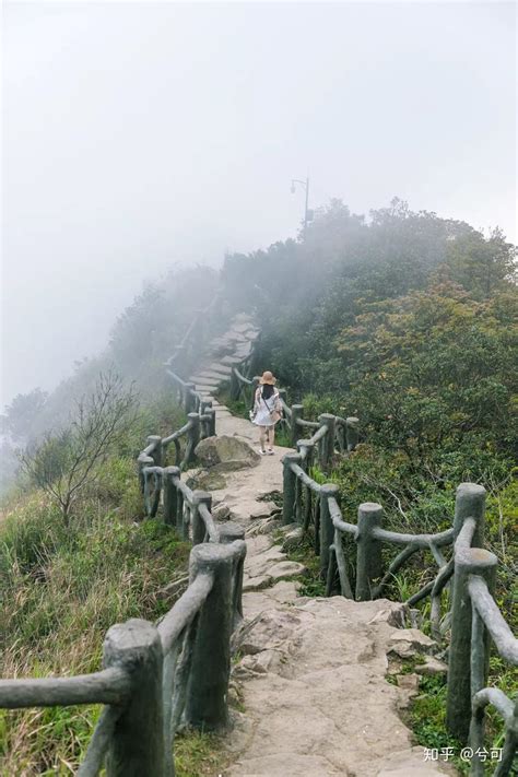 深圳63个最适合一日游的免费景点，你去过几个 - 知乎