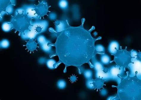 二次感染新冠病毒风险到底有多大？迄今最大规模人口研究结果发布 - 知乎