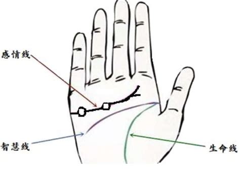 手相中最主要三条线：感情线、智慧线和生命线。男人左手代表自己