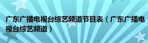 广东电视台公共频道_360百科