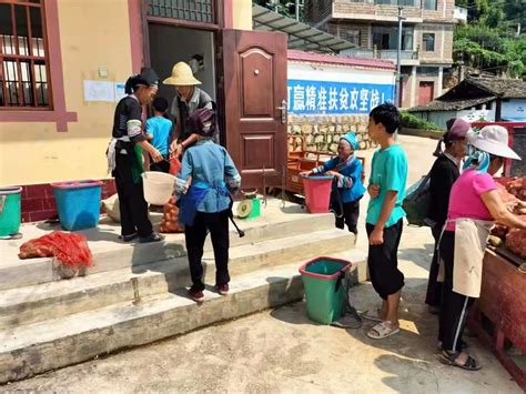 双龙营“三个一批”大力发展农村集体经济-丘北县人民政府门户网站