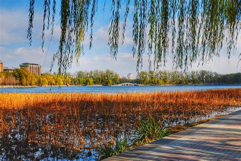 2022京城水系八一湖码头游玩攻略,在玉渊潭公园的八一湖，有个...【去哪儿攻略】