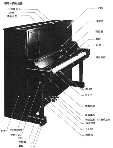 钢琴结构名称及图解 - 钢琴学习交流区 - 雅唐艺术论坛