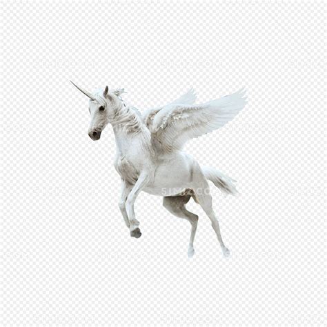 神马,动物头,希腊神话,马,迅速,侧面像,绘画插图,剪贴画,符号,动物身体部位设计模板,汇图网www.huitu.com