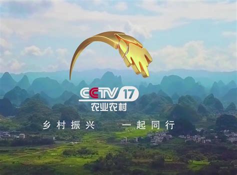 CCTV17 2021年春节板块动画 原画分镜 国潮风_眼眼人-站酷ZCOOL