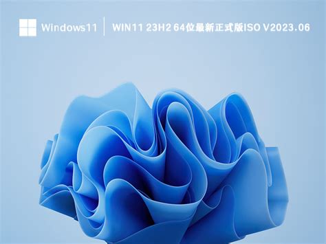Win11 23H2 64位最新正式版ISO下载_Win11 23H2 64位最新正式版ISO V2023.06最新下载-纯净之家