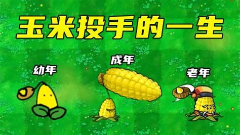 植物大战僵尸：玉米投手与大嘴花的一生