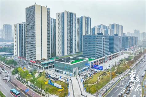 金凤区这个中心能为企业开办提供一站式服务-宁夏新闻网