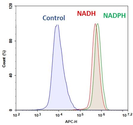 NAD+和NAD有什么不同？NAD+为什么带正电 - 知乎