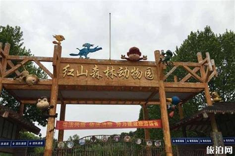 2020南京红山森林动物园免费日是哪天_旅泊网
